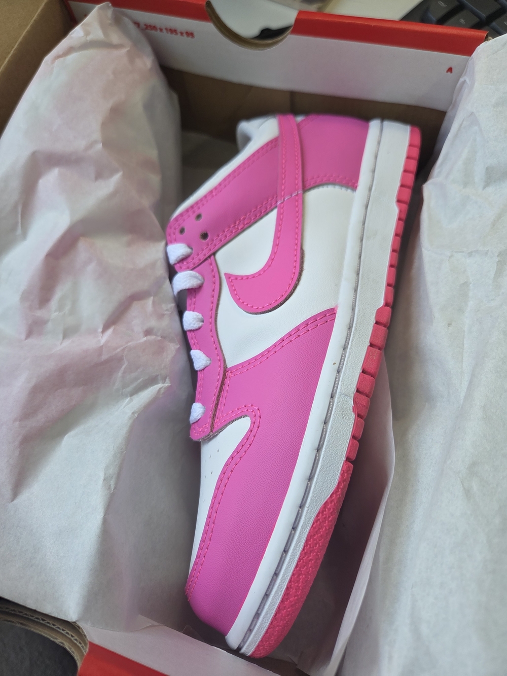 Girls Nike Dunk Low